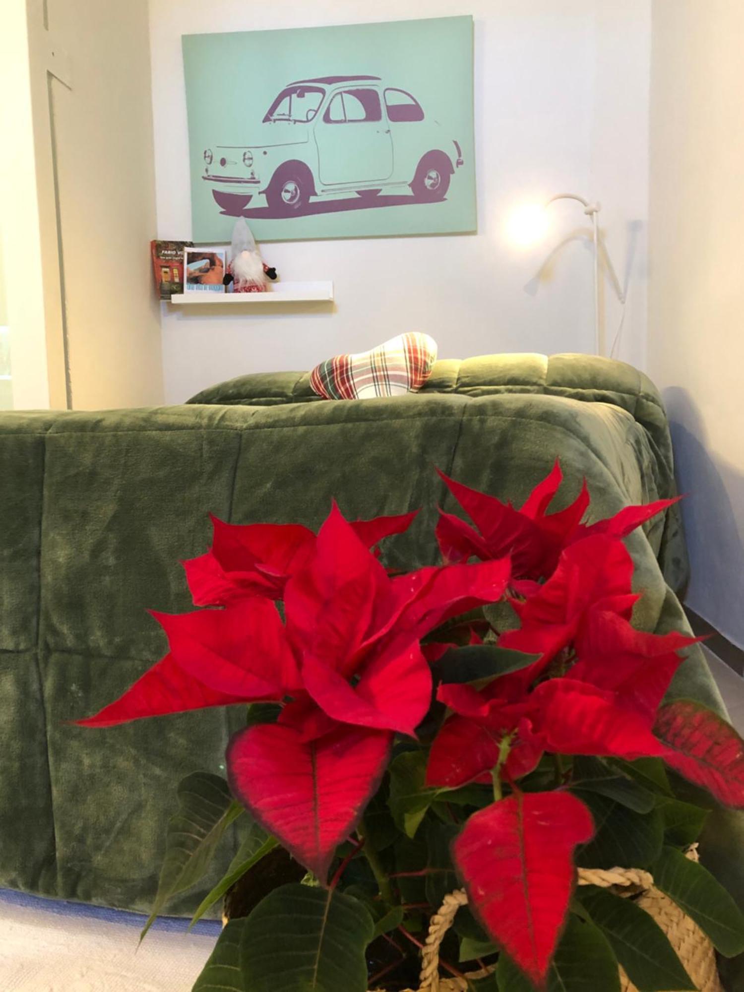 Apartament Casina Di Nina Livorno Zewnętrze zdjęcie